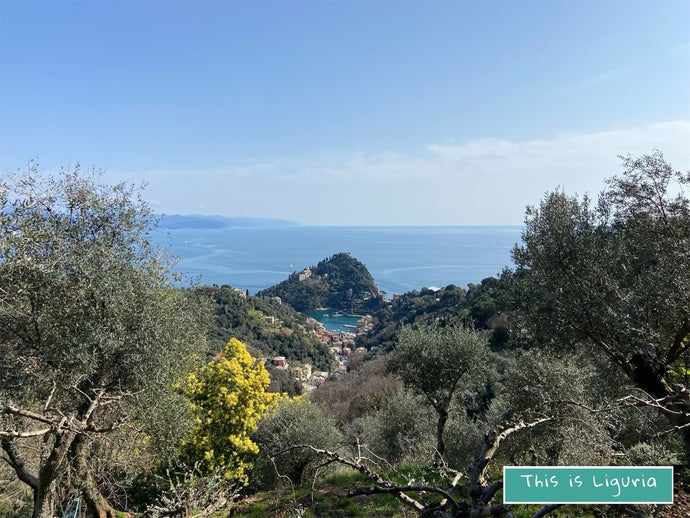 5 posti da vedere in Liguria